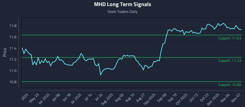 MHD Long Term Analysis for November 7 2025