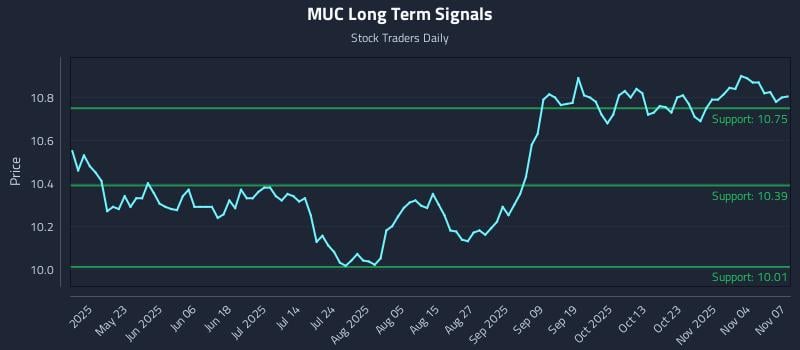MUC Long Term Analysis for November 7 2025