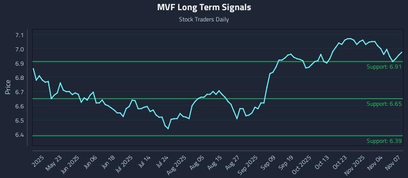 MVF Long Term Analysis for November 7 2025