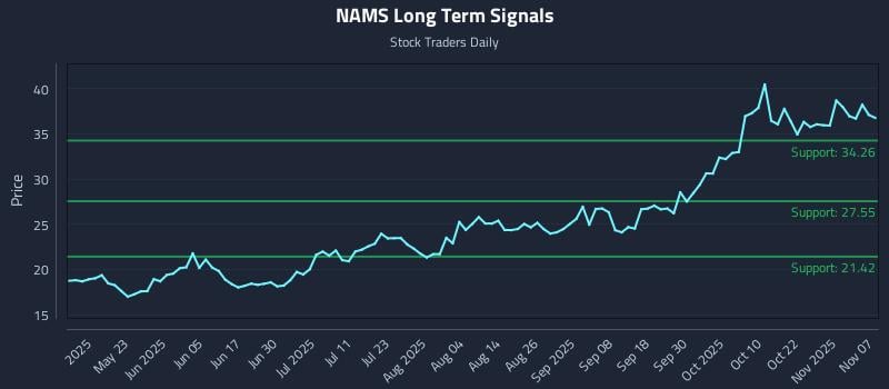 NAMS Long Term Analysis for November 7 2025