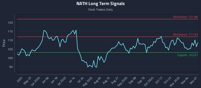 NATH Long Term Analysis for November 7 2025 NATH Long Term Analysis for November 7 2025