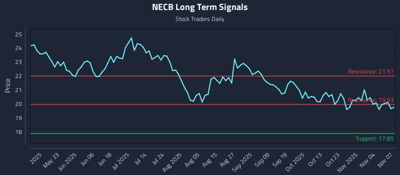 NECB Long Term Analysis for November 7 2025