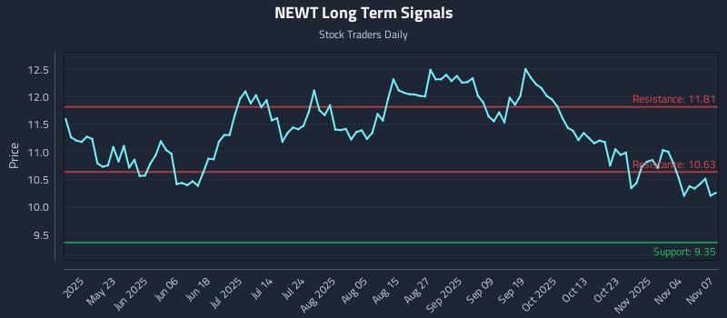 NEWT Long Term Analysis for November 7 2025