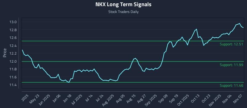 NKX Long Term Analysis for November 7 2025