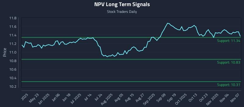 NPV Long Term Analysis for November 7 2025