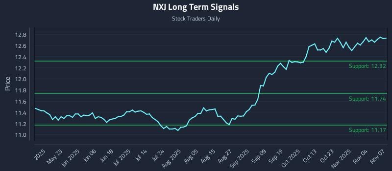 NXJ Long Term Analysis for November 7 2025