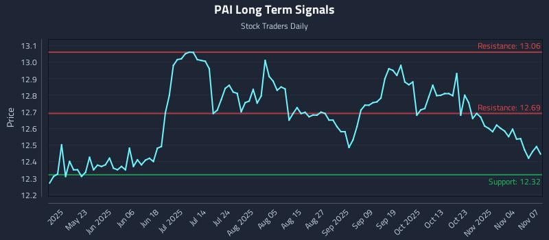 PAI Long Term Analysis for November 8 2025