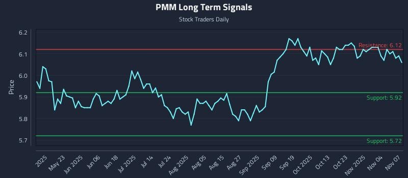 PMM Long Term Analysis for November 8 2025