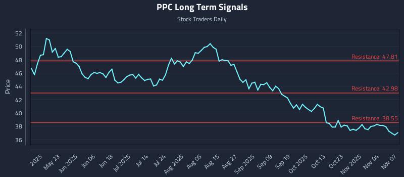 PPC Long Term Analysis for November 8 2025