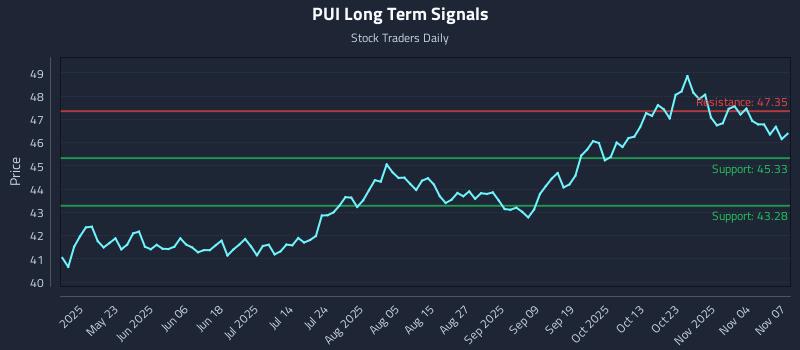 PUI Long Term Analysis for November 8 2025