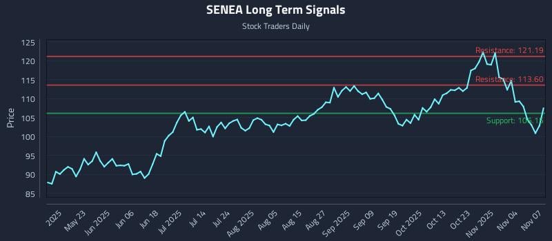 SENEA Long Term Analysis for November 8 2025