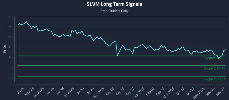 SLVM Long Term Analysis for November 8 2025