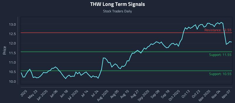 THW Long Term Analysis for November 9 2025