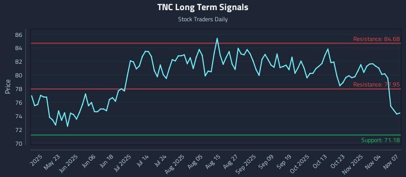 TNC Long Term Analysis for November 9 2025