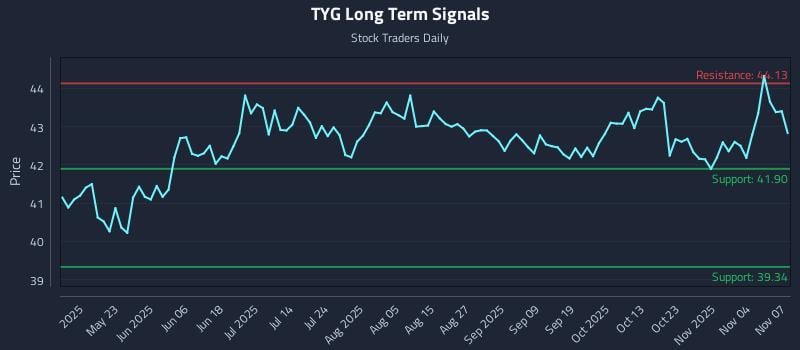 TYG Long Term Analysis for November 9 2025