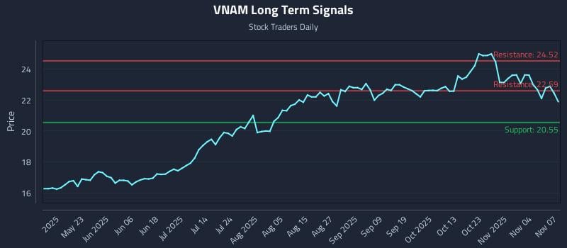 VNAM Long Term Analysis for November 9 2025