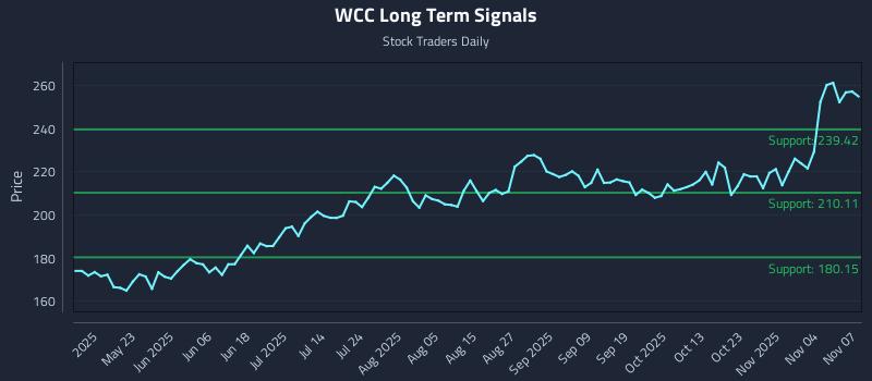 WCC Long Term Analysis for November 9 2025