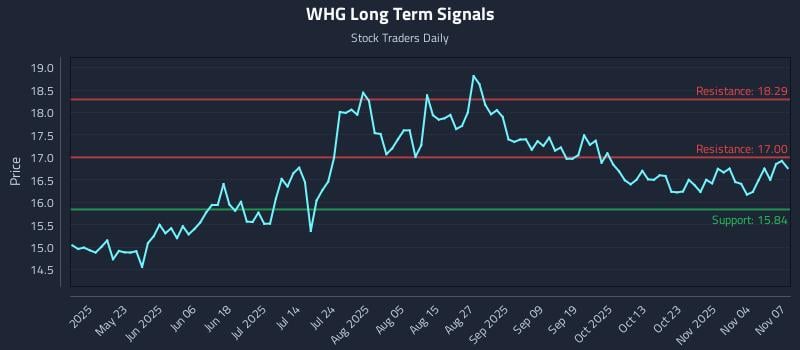 WHG Long Term Analysis for November 9 2025