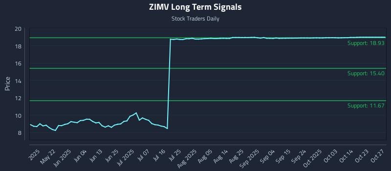 ZIMV Long Term Analysis for November 9 2025