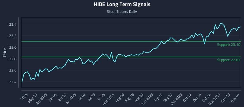 HIDE Long Term Analysis for November 10 2025