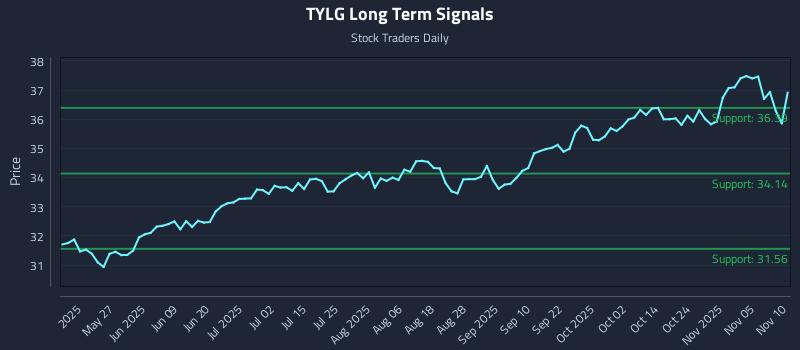 TYLG Long Term Analysis for November 10 2025 TYLG Long Term Analysis for November 10 2025