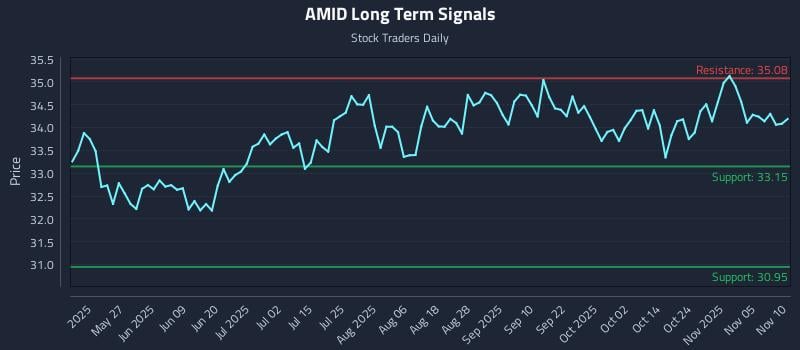 AMID Long Term Analysis for November 10 2025
