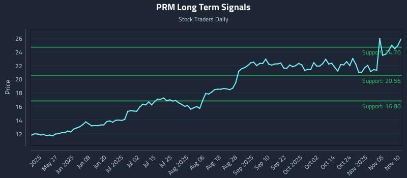 PRM Long Term Analysis for November 10 2025