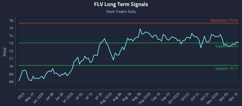 FLV Long Term Analysis for November 10 2025