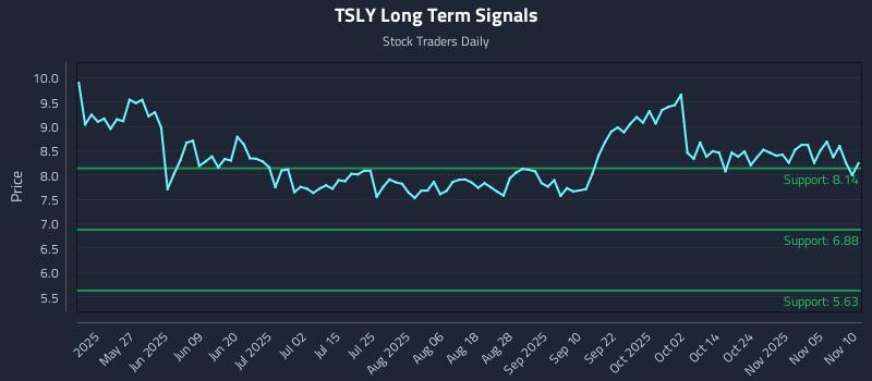 TSLY Long Term Analysis for November 10 2025