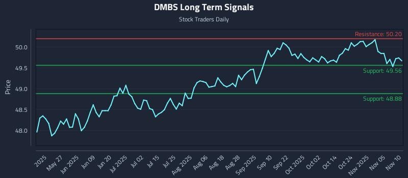 DMBS Long Term Analysis for November 10 2025
