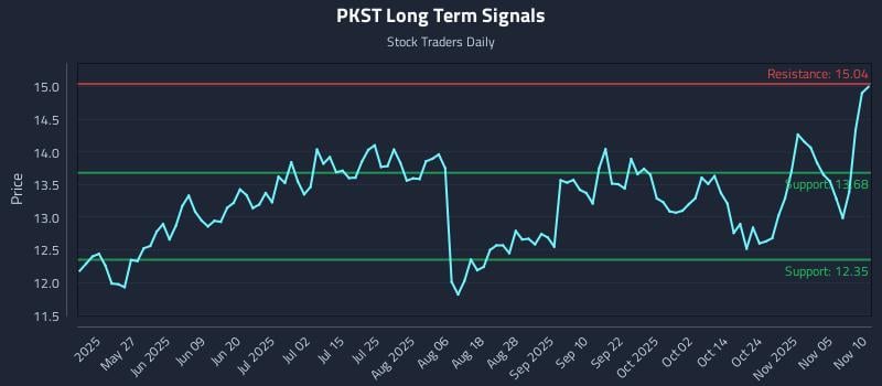 PKST Long Term Analysis for November 10 2025