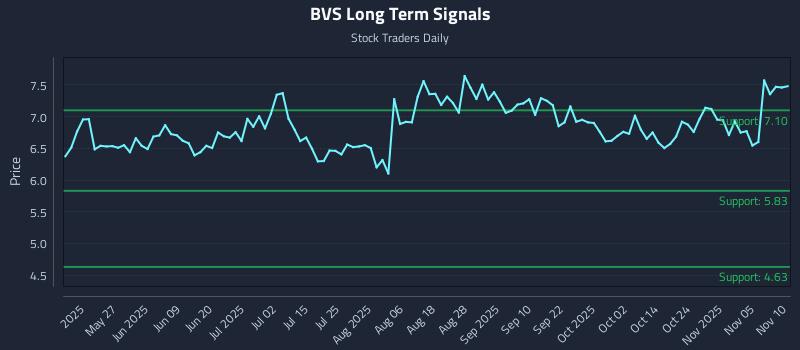 BVS Long Term Analysis for November 10 2025