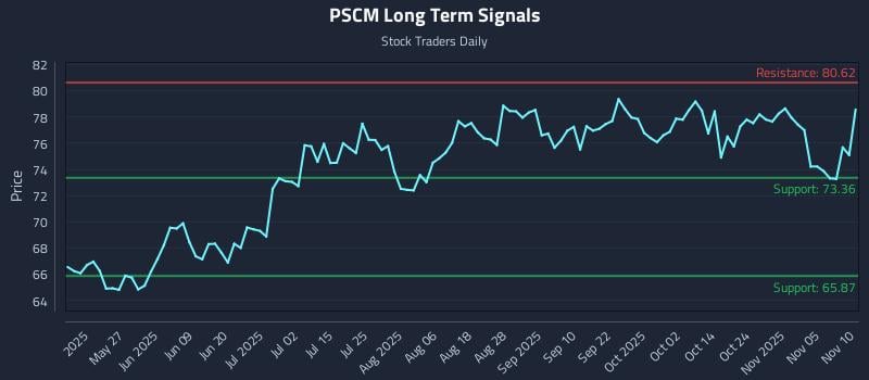 PSCM Long Term Analysis for November 10 2025