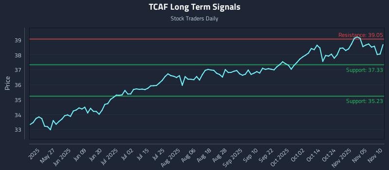 TCAF Long Term Analysis for November 10 2025