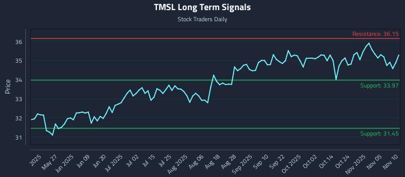 TMSL Long Term Analysis for November 10 2025