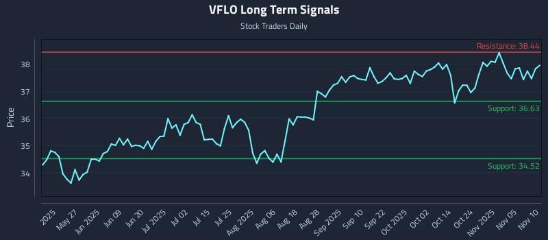 VFLO Long Term Analysis for November 10 2025