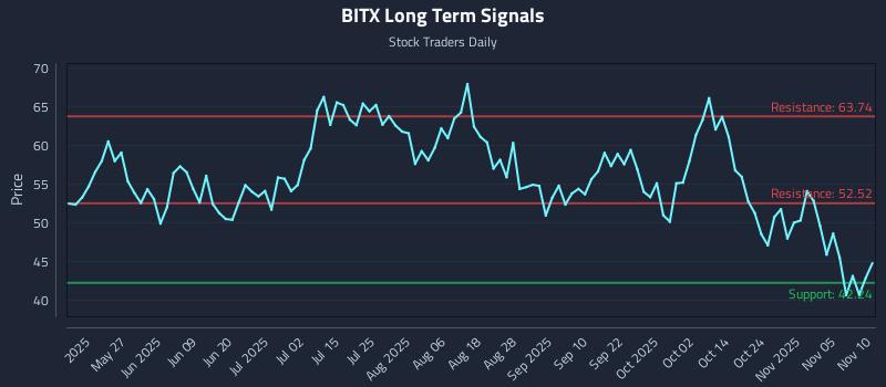 BITX Long Term Analysis for November 10 2025