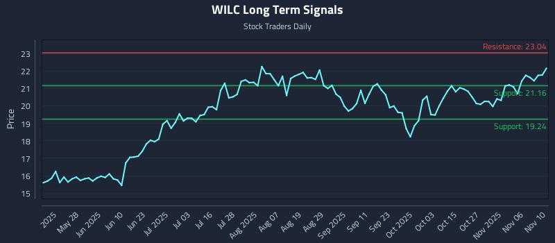 WILC Long Term Analysis for November 11 2025 WILC Long Term Analysis for November 11 2025