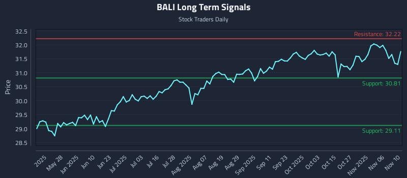 BALI Long Term Analysis for November 11 2025