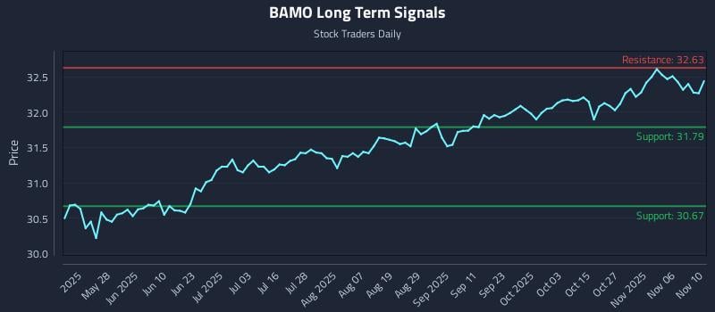 BAMO Long Term Analysis for November 11 2025