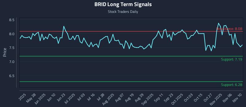 BRID Long Term Analysis for November 11 2025