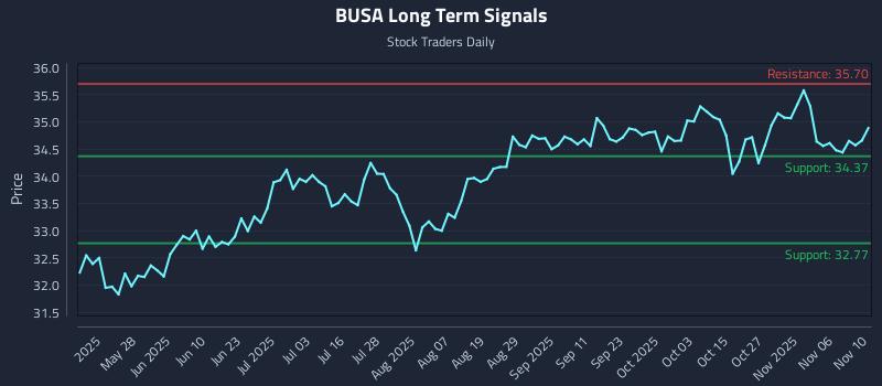 BUSA Long Term Analysis for November 11 2025