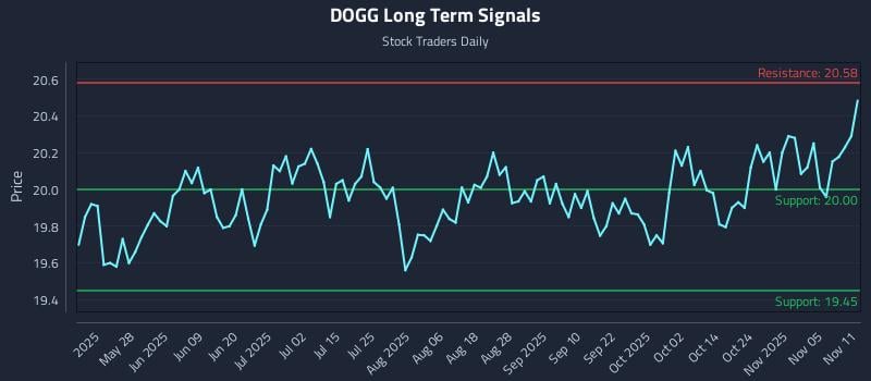 DOGG Long Term Analysis for November 11 2025
