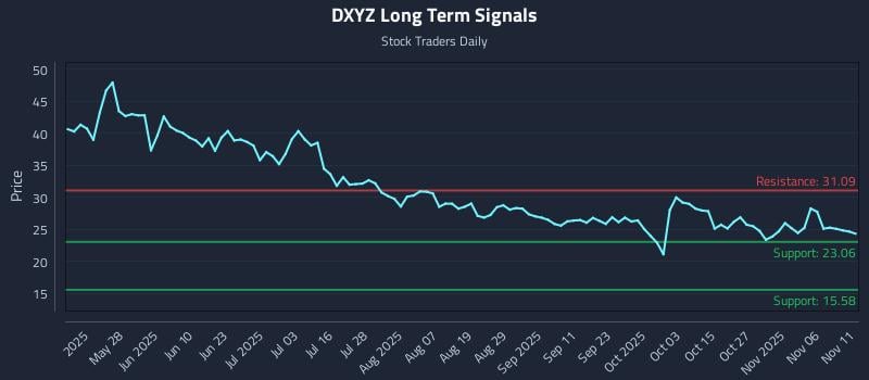 DXYZ Long Term Analysis for November 11 2025 DXYZ Long Term Analysis for November 11 2025