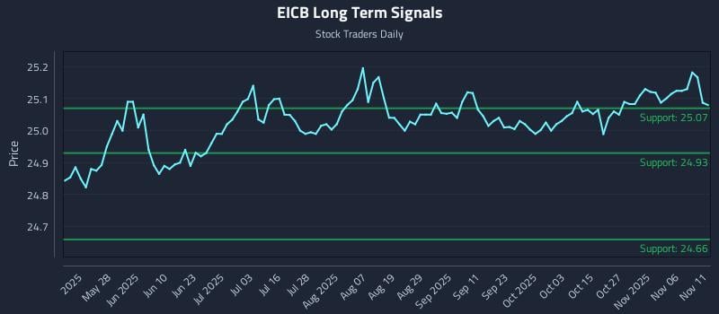 EICB Long Term Analysis for November 11 2025