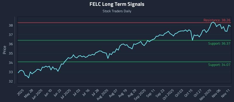 FELC Long Term Analysis for November 11 2025