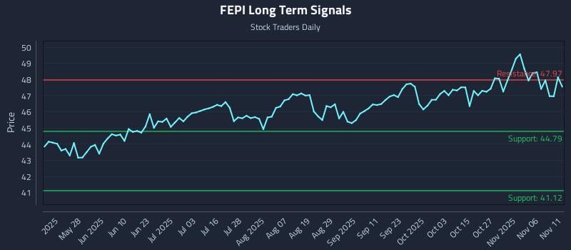 FEPI Long Term Analysis for November 11 2025