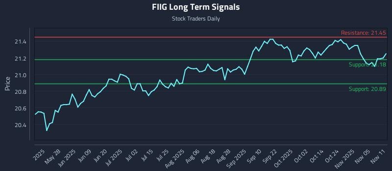 FIIG Long Term Analysis for November 11 2025 FIIG Long Term Analysis for November 11 2025