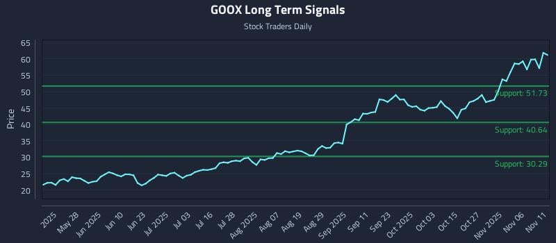 GOOX Long Term Analysis for November 11 2025