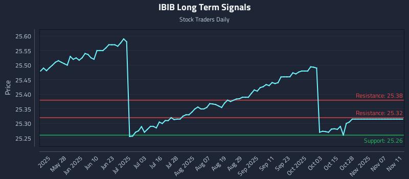 IBIB Long Term Analysis for November 11 2025 IBIB Long Term Analysis for November 11 2025